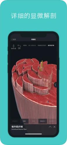 人体解剖学图集(3D解剖APP(Complete Anatomy))