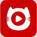 电视猫app最新版